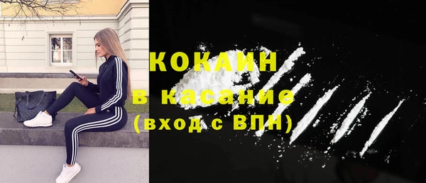 крисы Козловка