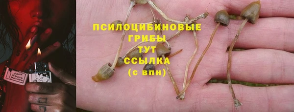 крисы Козловка