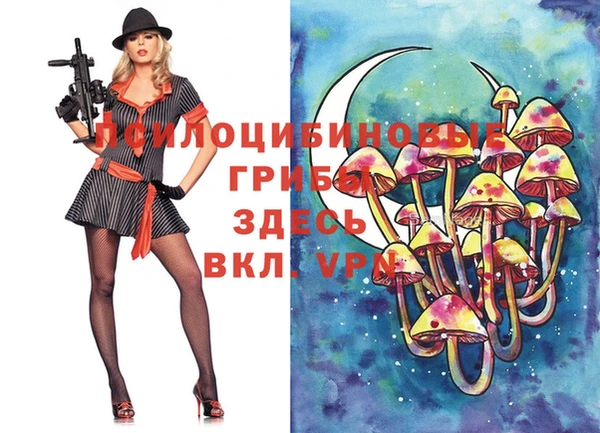 крисы Козловка
