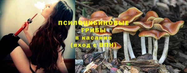 кристаллы Кодинск
