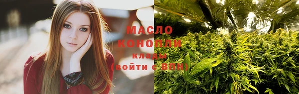 крисы Козловка
