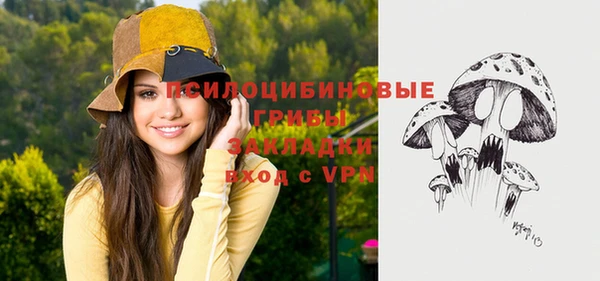 крисы Козловка