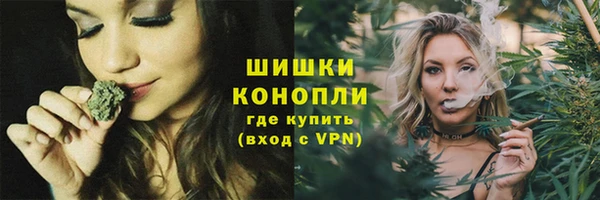 крисы Козловка
