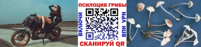 Купить где  Петров Вал  Галлюциногенные грибы мухоморы 